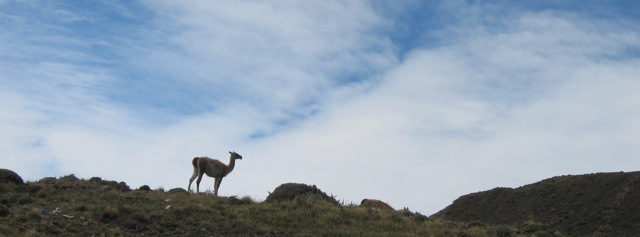 Patagonia 2011